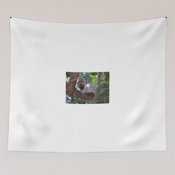 Item preview, White monkey in a Tree 2 designed and sold by exploramum.