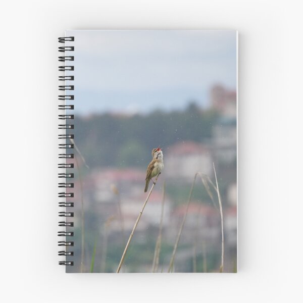 Item preview, Reed warbler singing in the rain designed and sold by distracted.