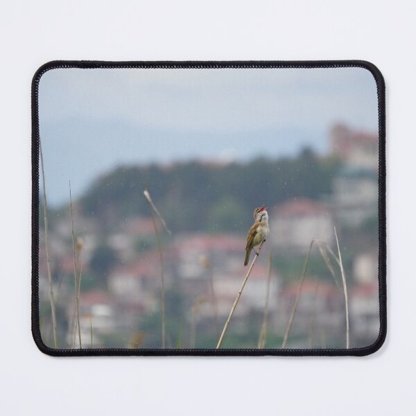 Item preview, Reed warbler singing in the rain designed and sold by distracted.