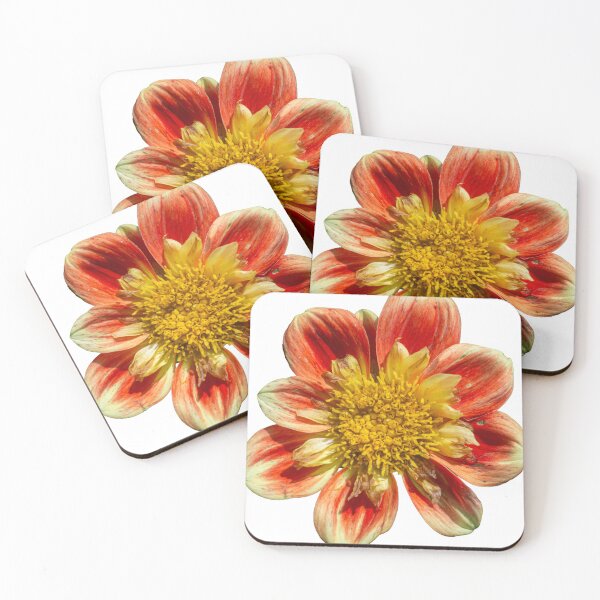 Item preview, Real orange dahlia flower bloom designed and sold by Amber Griffin.
