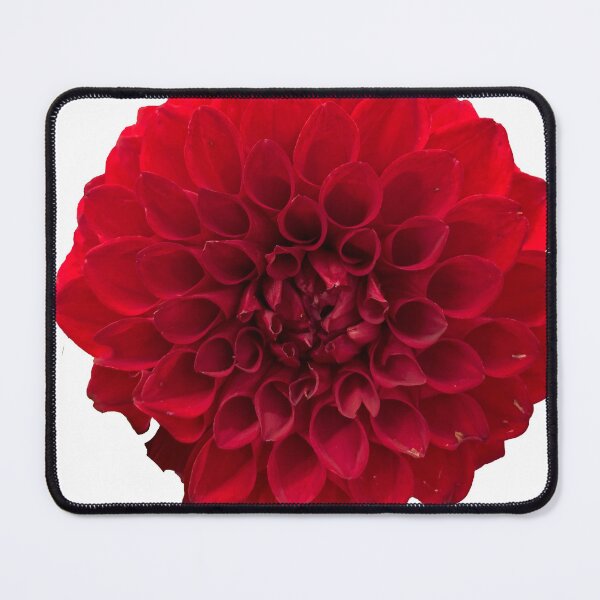 Item preview, Red Dahlia designed and sold by Amber Griffin.