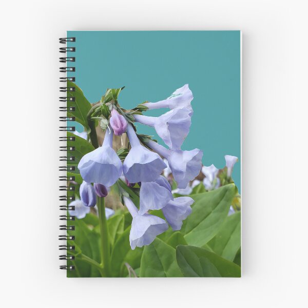 Item preview, Virginia Bluebells (No Background) designed and sold by Hall-O-Gram.