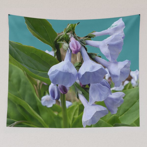 Item preview, Virginia Bluebells (No Background) designed and sold by Hall-O-Gram.
