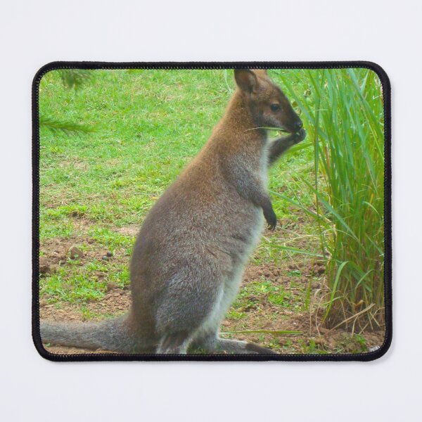 Item preview, Wallaby designed and sold by MadTeaDesign.