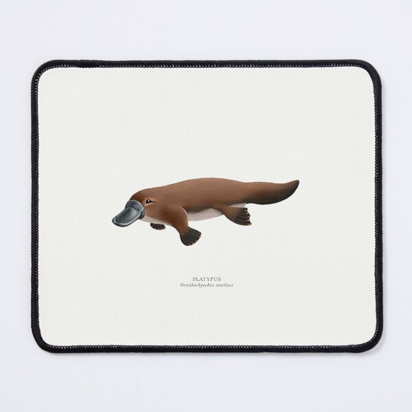 Item preview, Platypus designed and sold by samlyneill.