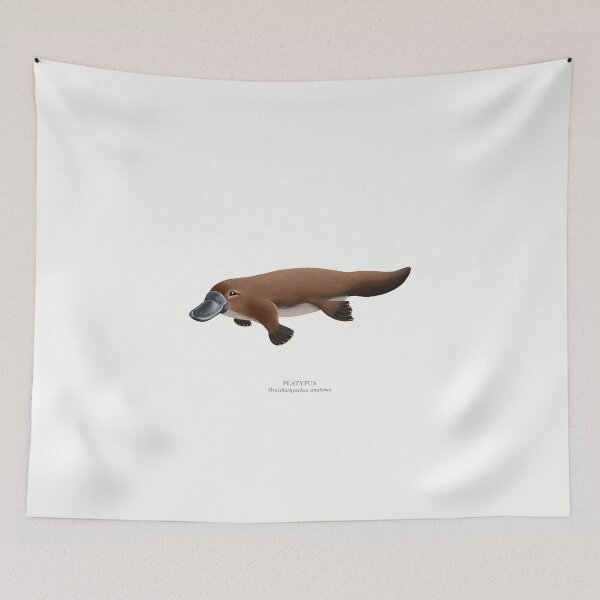 Item preview, Platypus designed and sold by samlyneill.