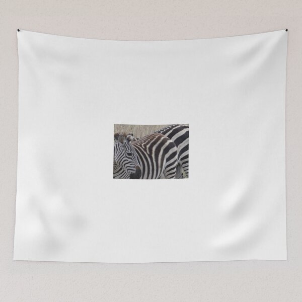 Item preview, Zebras in Kenya 5 designed and sold by exploramum.