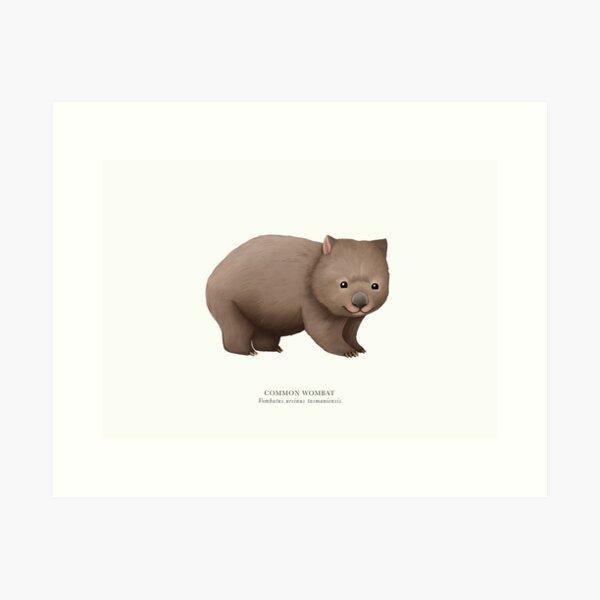Vista previa del artículo con la obra «Wombat común», diseñado y vendido por samlyneill.