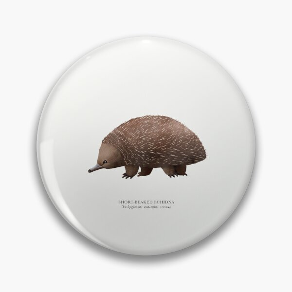 Item preview, Short-beaked Echidna designed and sold by samlyneill.