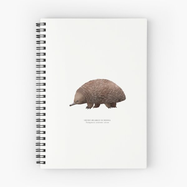 Item preview, Short-beaked Echidna designed and sold by samlyneill.
