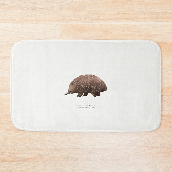 Item preview, Short-beaked Echidna designed and sold by samlyneill.