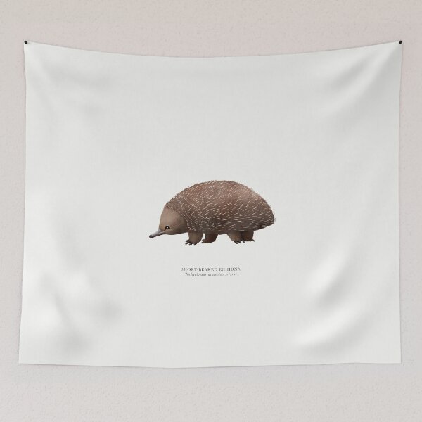 Item preview, Short-beaked Echidna designed and sold by samlyneill.