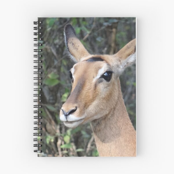 Item preview, Africa - Animals in the wild 1 designed and sold by exploramum.