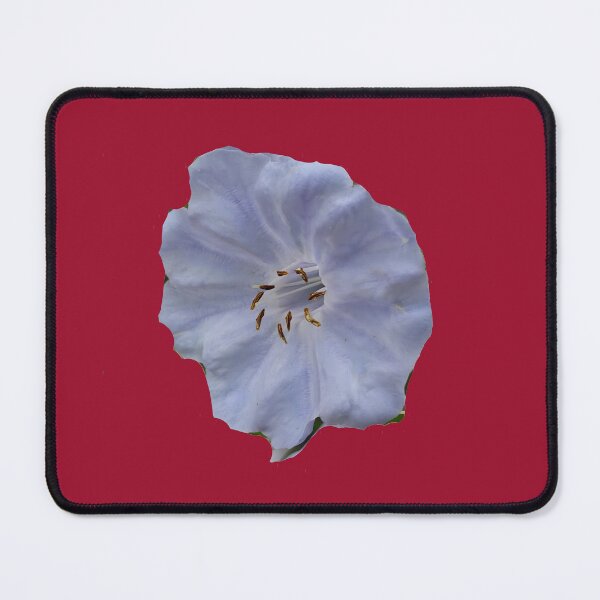 Item preview, Virginia Bluebells (No Background) designed and sold by Hall-O-Gram.
