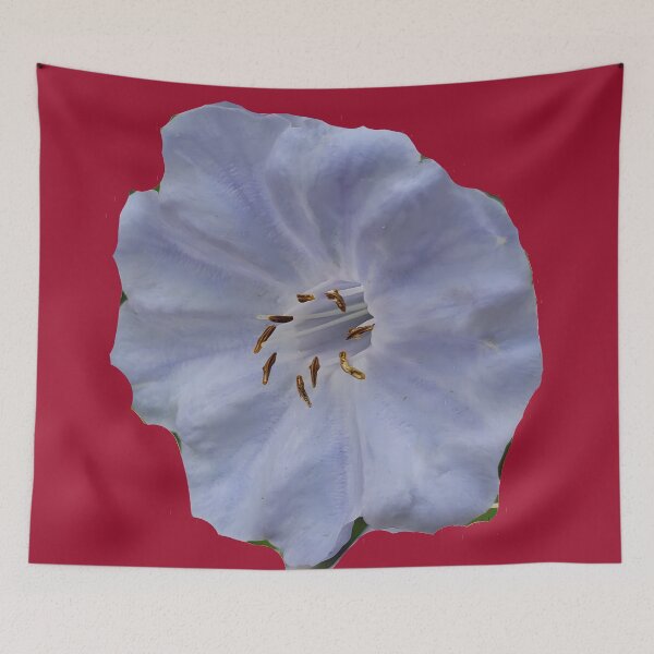 Item preview, Virginia Bluebells (No Background) designed and sold by Hall-O-Gram.