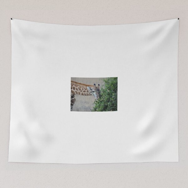 Item preview, Giraffes eating - front view designed and sold by exploramum.