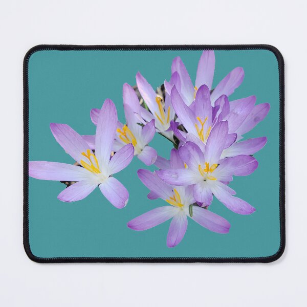 Item preview, Pretty Flowers (No Background) designed and sold by Hall-O-Gram.
