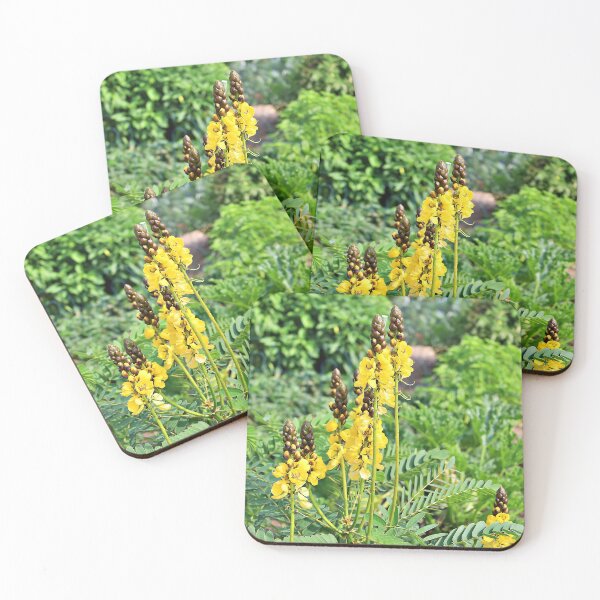 Item preview, African Senna Found in a Community Garden designed and sold by Martha Sherman.
