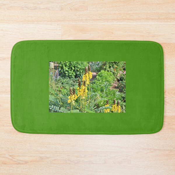 Item preview, African Senna Found in a Community Garden designed and sold by Martha Sherman.