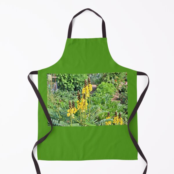 Item preview, African Senna Found in a Community Garden designed and sold by Martha Sherman.