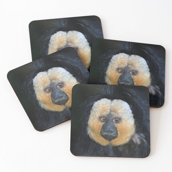 Item preview, White-faced Saki Monkey  designed and sold by Savannah Gibbs.