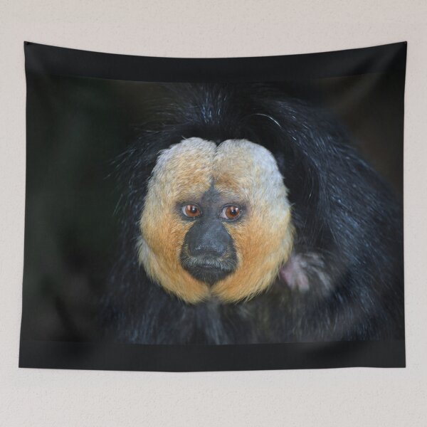 Item preview, White-faced Saki Monkey  designed and sold by Savannah Gibbs.