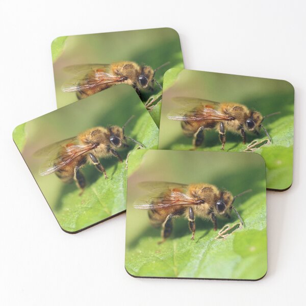 Item preview, European Honey Bee designed and sold by Siene Browne.