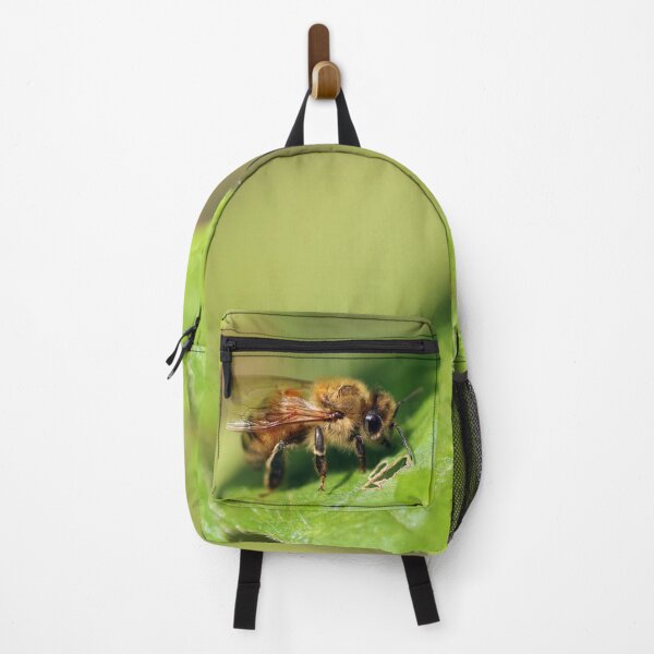 Item preview, European Honey Bee designed and sold by Siene Browne.