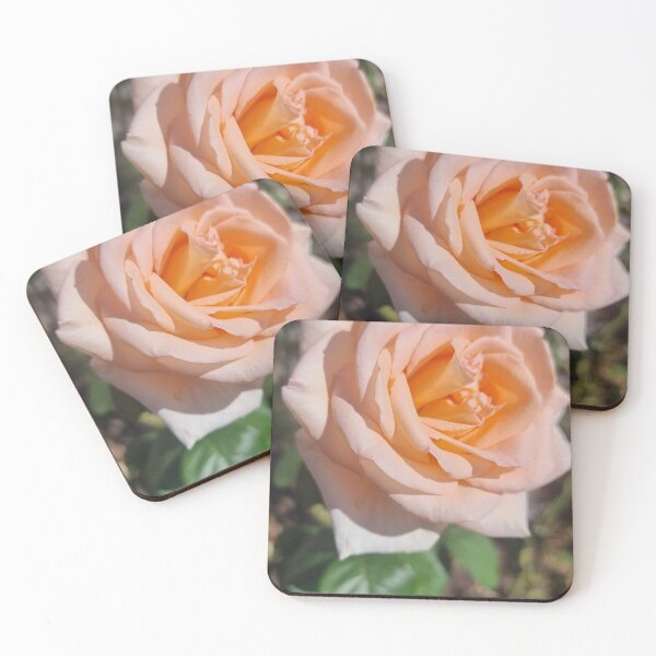 Item preview, apricot rose designed and sold by Pauline  Whitburn.