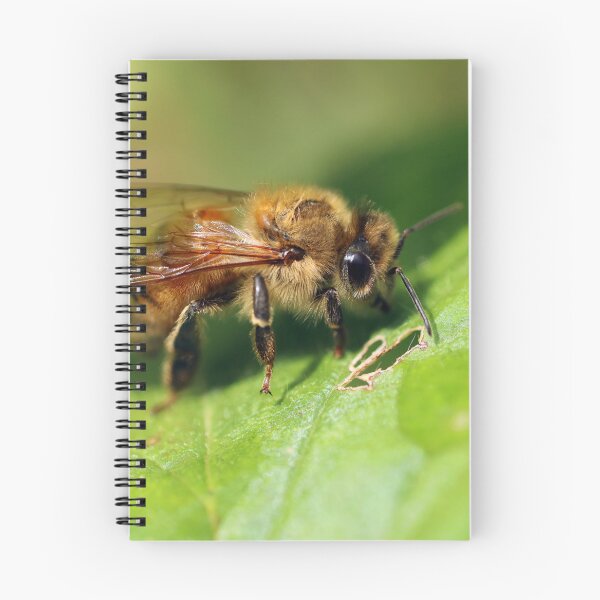 Item preview, European Honey Bee designed and sold by Siene Browne.