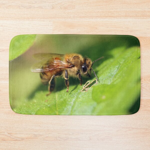Item preview, European Honey Bee designed and sold by Siene Browne.