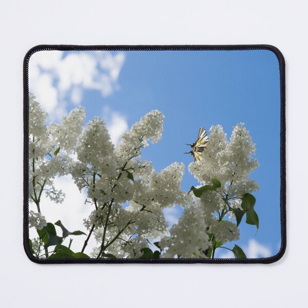 Item preview, Swallowtail Butterfly Atop White Lilac in Full Bloom designed and sold by Georgia Mizuleva.