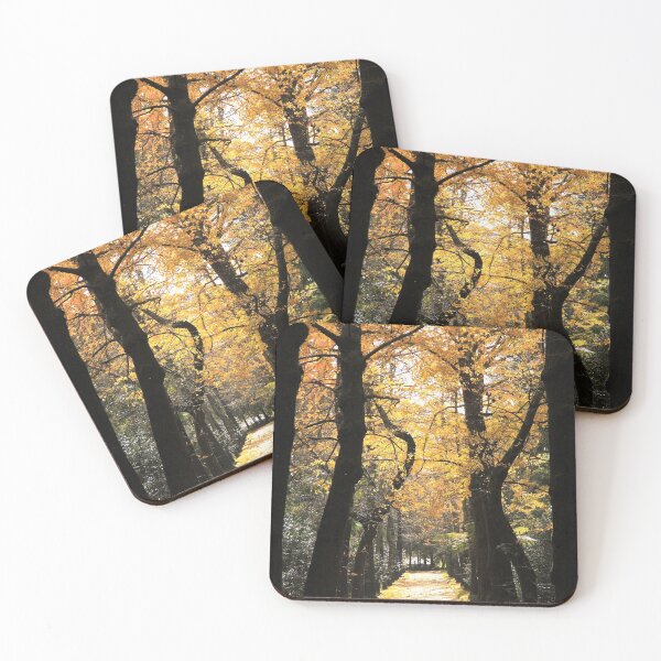 Item preview, Ginkgo biloba trees designed and sold by Gaspar Avila.