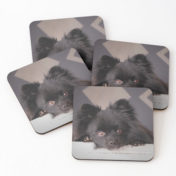 Item preview, Black Pomeranian Staring designed and sold by VanGaldo.