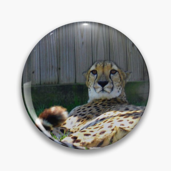Item preview, Cheetah designed and sold by kcrystalfriend.