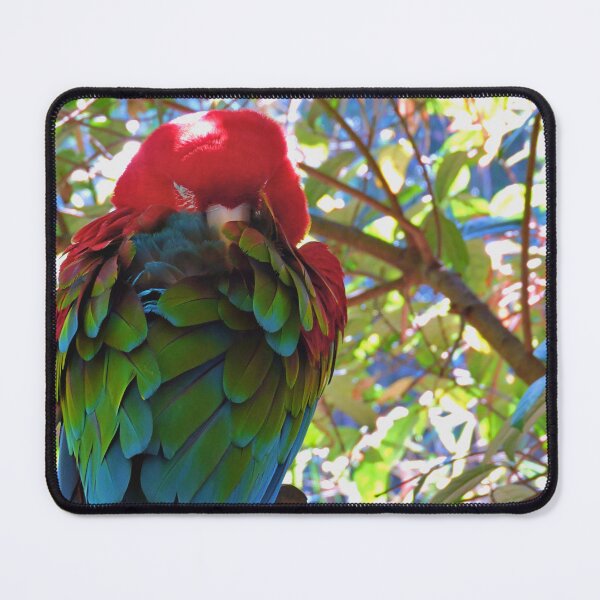 Item preview, Scarlet Macaw designed and sold by kcrystalfriend.