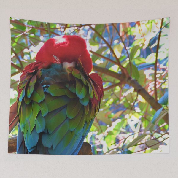 Item preview, Scarlet Macaw designed and sold by kcrystalfriend.