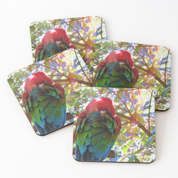 Item preview, Scarlet Macaw with Sunbeam designed and sold by kcrystalfriend.