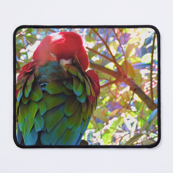 Item preview, Scarlet Macaw with Sunbeam designed and sold by kcrystalfriend.
