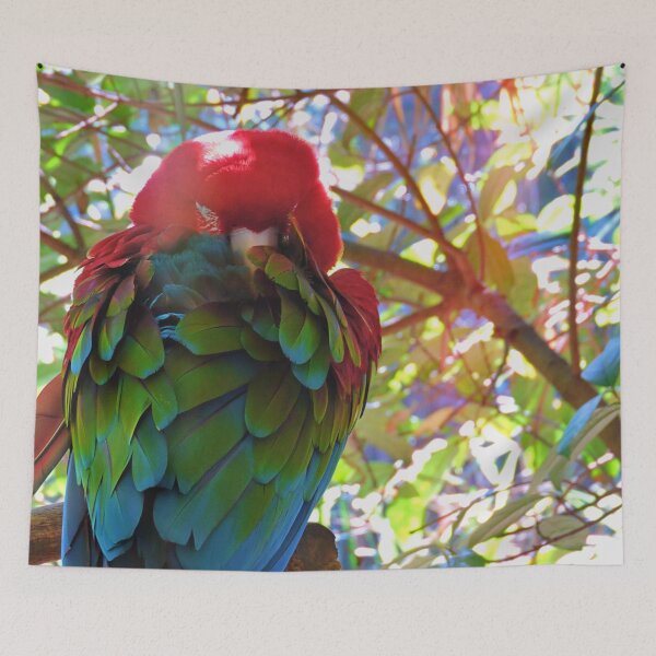 Item preview, Scarlet Macaw with Sunbeam designed and sold by kcrystalfriend.