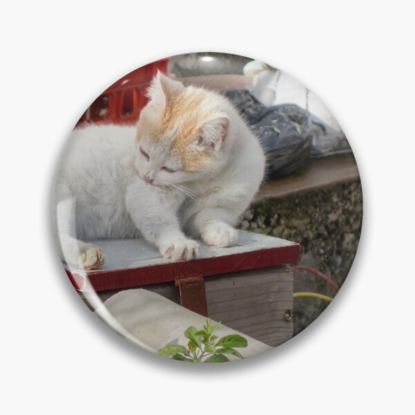 Item preview, Cat Resting in the Sun in the Azores designed and sold by jrtwynam.