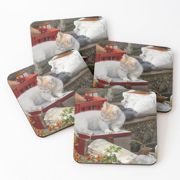 Item preview, Cat Resting in the Sun in the Azores designed and sold by jrtwynam.