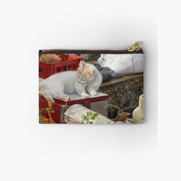 Item preview, Cat Resting in the Sun in the Azores designed and sold by jrtwynam.