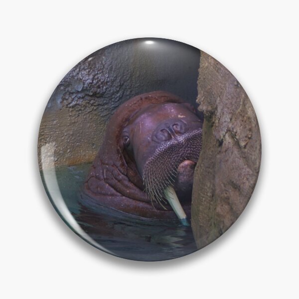 Item preview, Walrus designed and sold by kcrystalfriend.