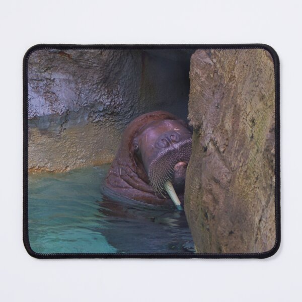 Item preview, Walrus designed and sold by kcrystalfriend.