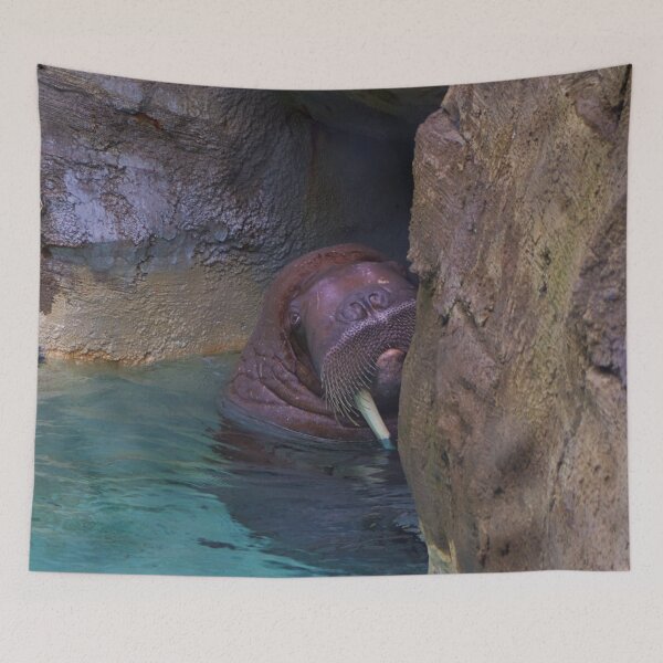 Item preview, Walrus designed and sold by kcrystalfriend.