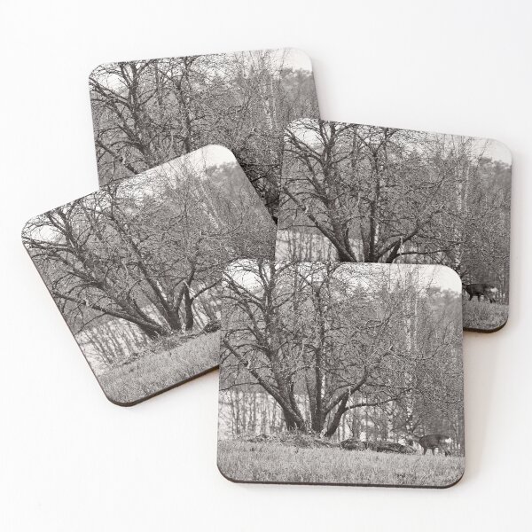 Item preview, Under the old tree. Roe deer bw designed and sold by Jouko Lehto Photography.