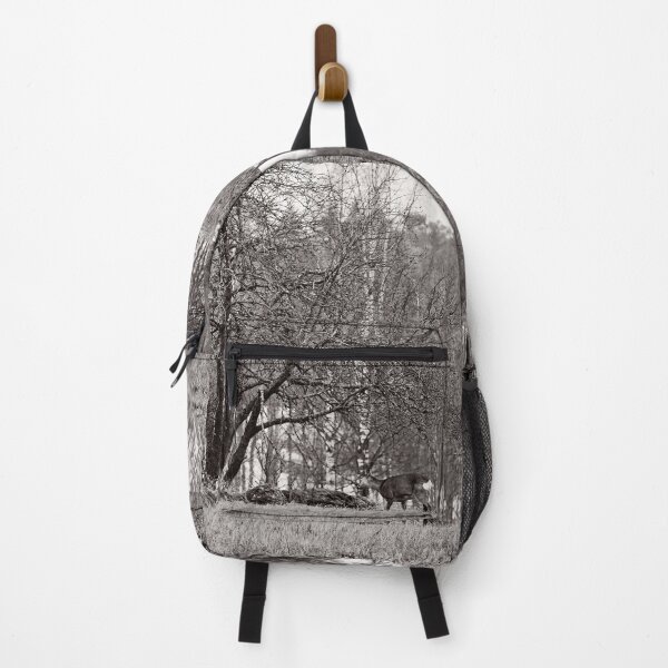 Item preview, Under the old tree. Roe deer bw designed and sold by Jouko Lehto Photography.