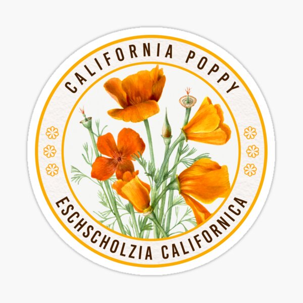 Item preview, California Poppy designed and sold by RabbitK.