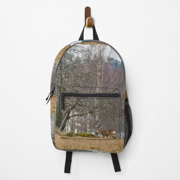 Item preview, Under the old tree. Roe deer designed and sold by Jouko Lehto Photography.